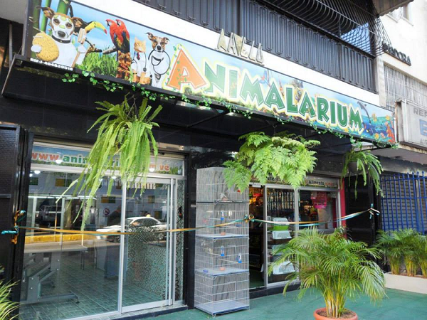 Animalarium (Peñaranda de Bracamonte)