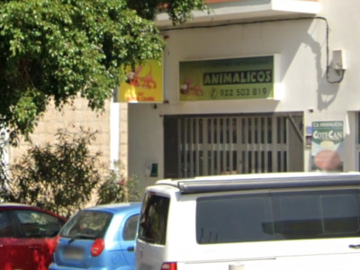 Arka De Noe | Centro Veterinario Animalicos - Candelaria (Santa Cruz de Tenerife)