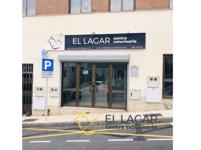 Centro Veterinario El Lagar - El Sauzal (Santa Cruz de Tenerife)