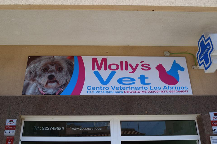Centro Veterinario Molly´S Vet - Granadilla de Abona (Santa Cruz de Tenerife)