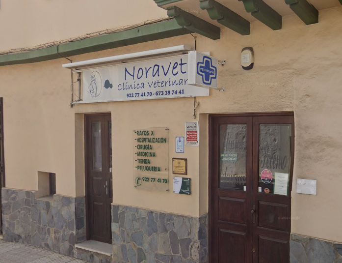Clínica Veterinaria Noravet - Granadilla de Abona (Santa Cruz de Tenerife)