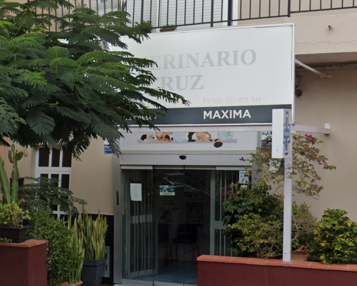 Centro Veterinario Morera Cruz - Granadilla de Abona (Santa Cruz de Tenerife)