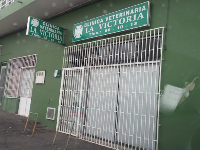 Clínica Veterinaria La Victoria - La Victoria de Acentejo (Santa Cruz de Tenerife)