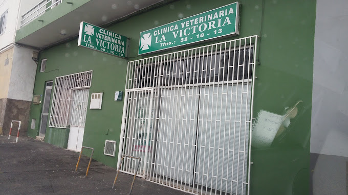 Clínica Veterinaria La Victoria - La Victoria de Acentejo (Santa Cruz de Tenerife)