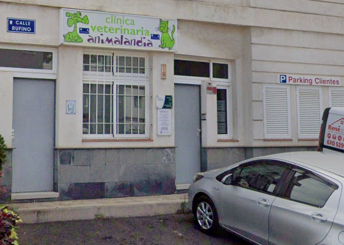 Animalandia - San Cristóbal de La Laguna (Santa Cruz de Tenerife)