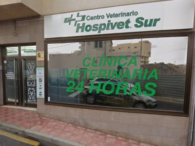 Clínica Veterinaria Hospivet Sur - San Miguel de Abona (Santa Cruz de Tenerife)