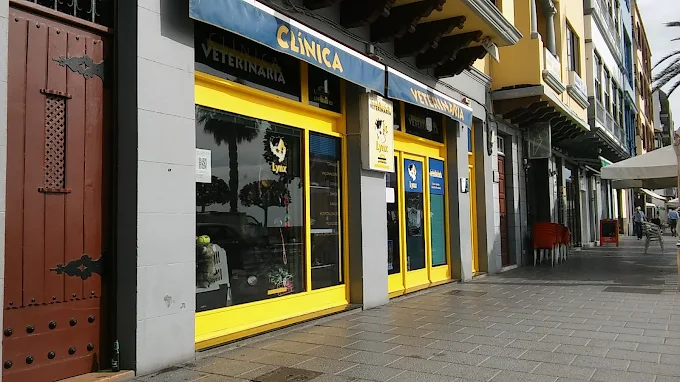 Clínica Veterinaria Lynx - Santa Cruz de La Palma (Santa Cruz de Tenerife)