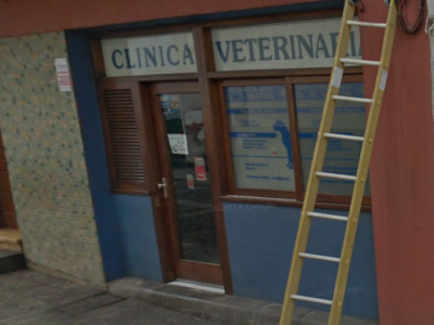 Clínica Veterinaria Rafael Matos - Santa Cruz de La Palma (Santa Cruz de Tenerife)