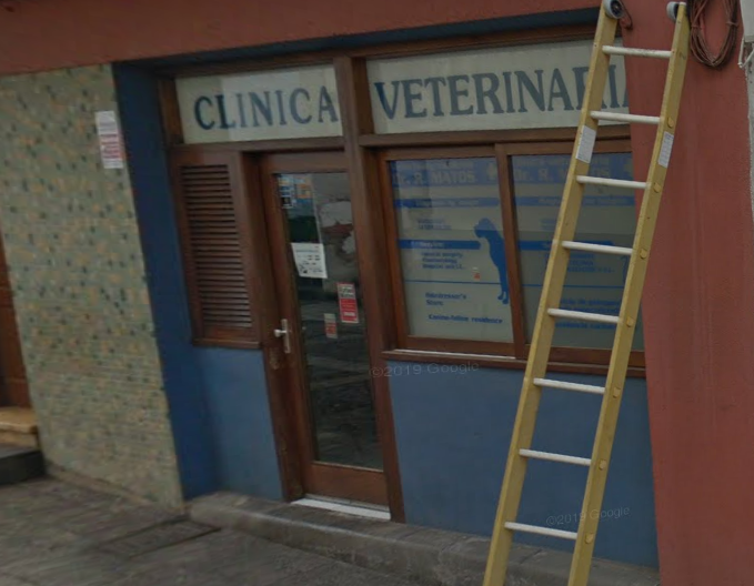 Clínica Veterinaria Rafael Matos - Santa Cruz de La Palma (Santa Cruz de Tenerife)