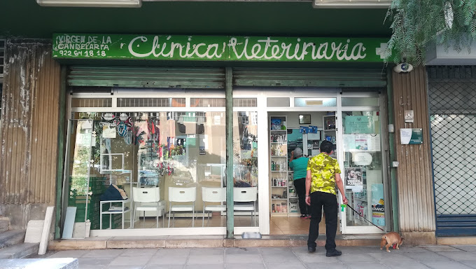 Centro veterinario Virgen de la Candelaria - Santa Cruz de La Palma (Santa Cruz de Tenerife)