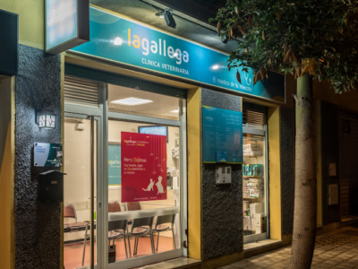 Clínica Veterinaria La Gallega - Santa Cruz de La Palma (Santa Cruz de Tenerife)
