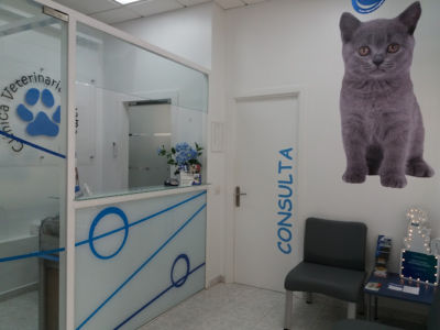 Clínica Veterinaria Salamanca - Santa Cruz de La Palma (Santa Cruz de Tenerife)