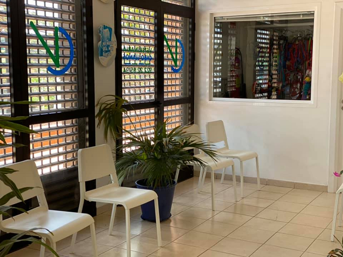 Clínica Veterinaria Cabo Llanos - Santa Cruz de La Palma (Santa Cruz de Tenerife)