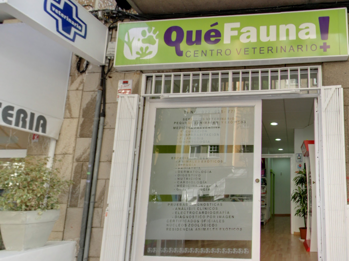 Centro Veterinario WECAN Que Fauna! - Santa Cruz de La Palma (Santa Cruz de Tenerife)