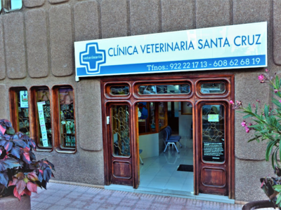 Clínica Veterinaria Santa Cruz - Santa Cruz de La Palma (Santa Cruz de Tenerife)
