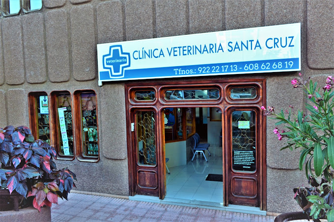 Clínica Veterinaria Santa Cruz - Santa Cruz de La Palma (Santa Cruz de Tenerife)