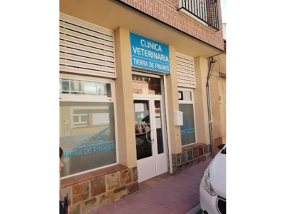 Clínica Veterinaria Tierra de Pinares (Nava de la Asunción)