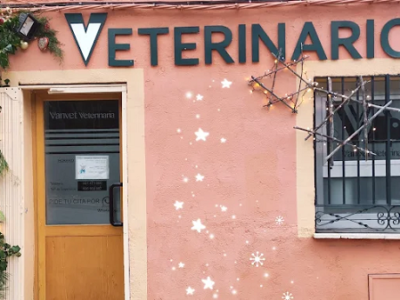 Vanvet Veterinaria (Real Sitio de San Ildefonso)