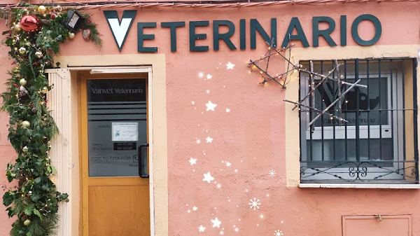 Vanvet Veterinaria (Real Sitio de San Ildefonso)