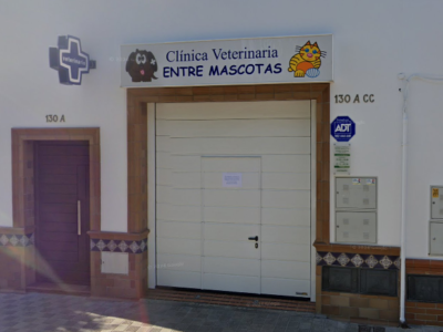 Centro Veterinario Entre Mascotas (Los Palacios y Villafranca)