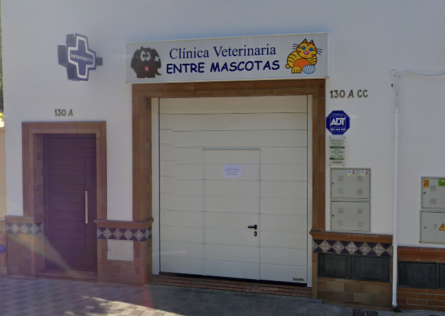 Centro Veterinario Entre Mascotas (Los Palacios y Villafranca)
