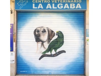 Centro Veterinario La Algaba (La Algaba)