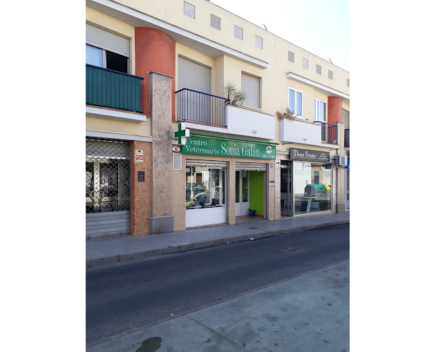 Centro Veterinario Sonia Galán (Mairena del Alcor)