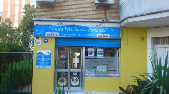 Centro Veterinario Portacoeli (Sevilla)