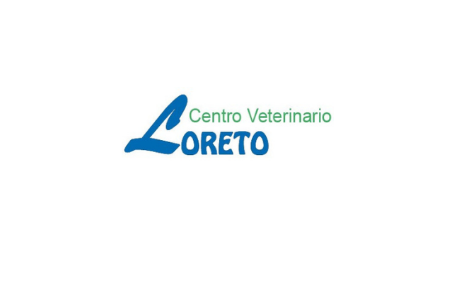 Centro Veterinario Loreto (Espartinas)