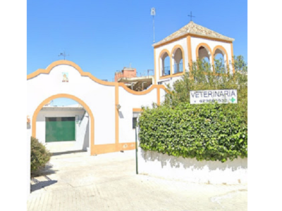 Centro Veterinario Gerena (Gerena)