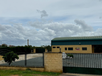 Centro Veterinario Aznalcollar Hospital equino (Aznalcóllar)