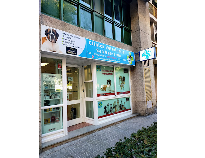 Centro Veterinario San Bernardo (Sevilla)