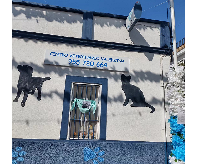 Centro Veterinario Valencina (Valencina de la Concepción)