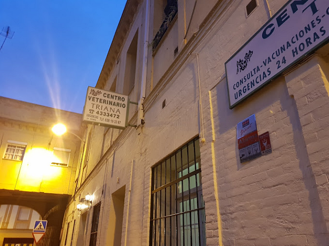Centro Veterinario Triana (Sevilla)