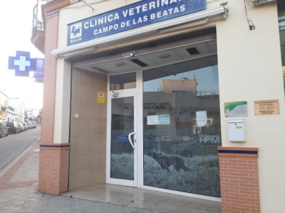 Centro Veterinario Bailén (Alcalé de Guadaíra)