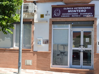 Centro Veterinario Montero (Olivares)