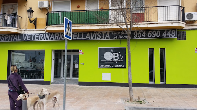 Centro Veterinario Bellavista (Sevilla)