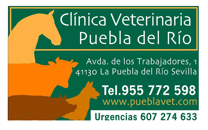 Centro Veterinario Puebla Del Río (La Puebla del Río)