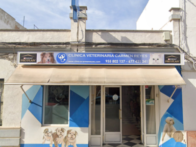 Centro Veterinario Carmen Reyes Varo (Lora del Río)