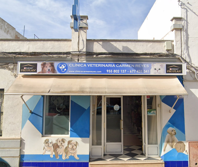 Centro Veterinario Carmen Reyes Varo (Lora del Río)