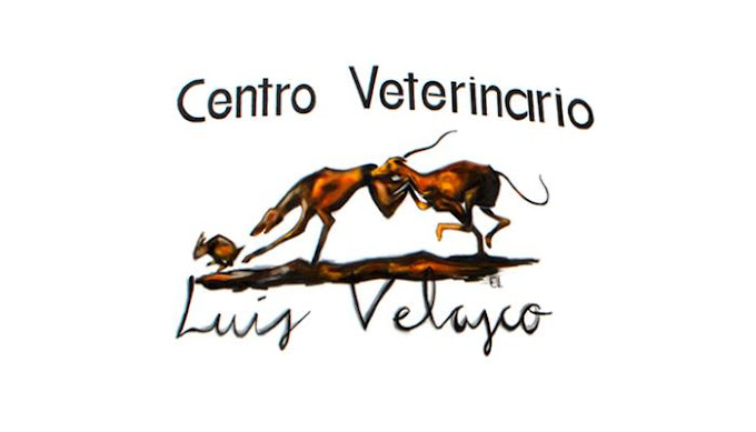 Centro Veterinario Luís Velasco (Marchena)