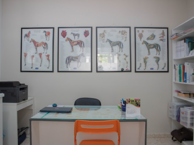 Centro Veterinario David da Rocha Pereira (Dos Hermanas)