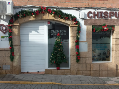 Centro Veterinario Chispu (Castilblanco de los Arroyos)