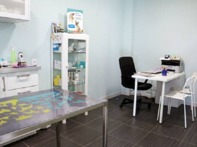 Centro Veterinario CanyCat (Castilleja de la Cuesta)