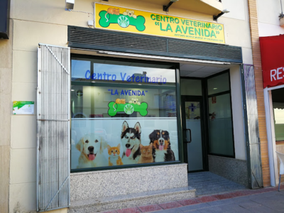 Centro Veterinario La Avenida (Estepa)