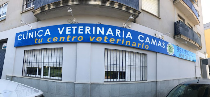 Centro Veterinario Camas (Camas)