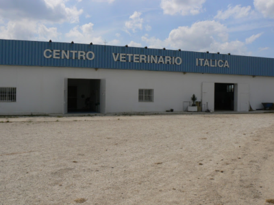 Centro Veterinario Nueva Itálica (Salteras)