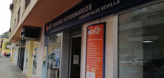 Centro Veterinario Nexo Loscertales (Sevilla)