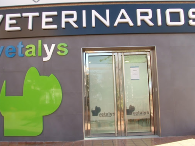 Centro Veterinario Vetalys Veterinarios (Sevilla)