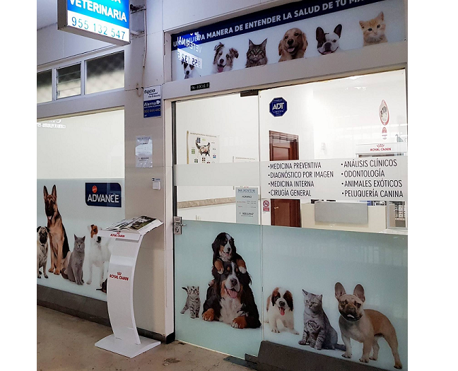 Centro Veterinario San Jacinto 96 (Sevilla)